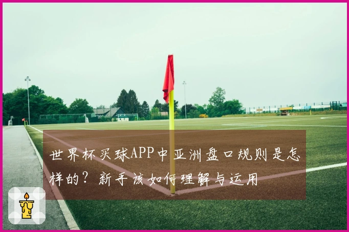 世界杯买球APP中亚洲盘口规则是怎样的？新手该如何理解与运用