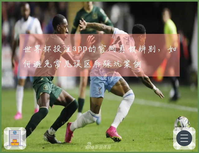 世界杯投注app的官网真假辨别，如何避免常见误区和踩坑案例