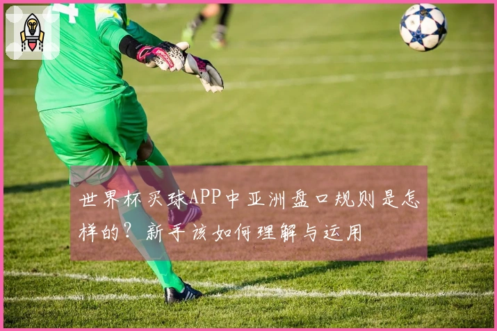 世界杯买球APP中亚洲盘口规则是怎样的？新手该如何理解与运用