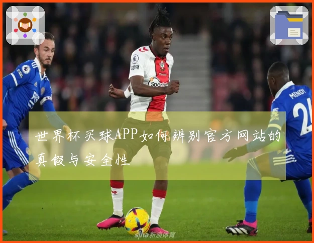 世界杯买球APP如何辨别官方网站的真假与安全性