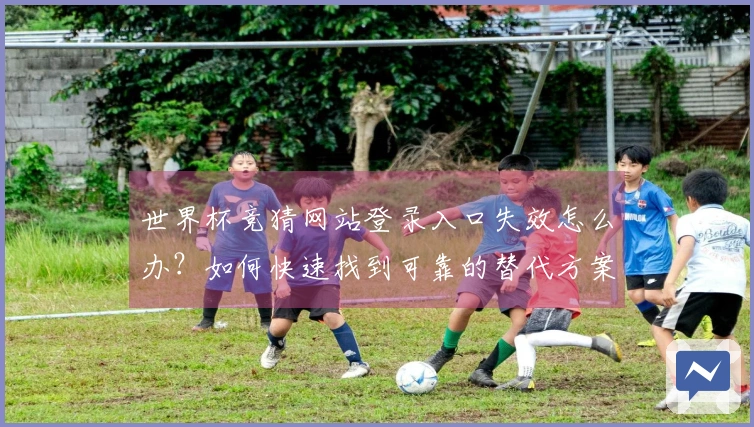 世界杯竞猜网站登录入口失效怎么办？如何快速找到可靠的替代方案？