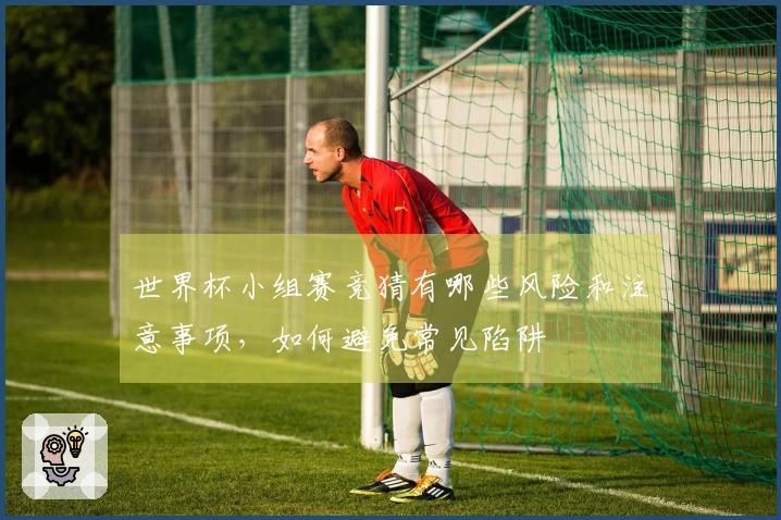 世界杯小组赛竞猜有哪些风险和注意事项，如何避免常见陷阱
