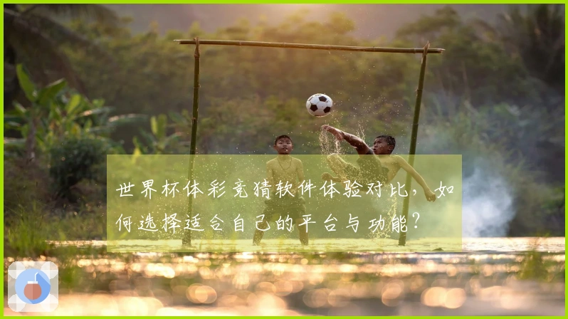 世界杯体彩竞猜软件体验对比，如何选择适合自己的平台与功能？