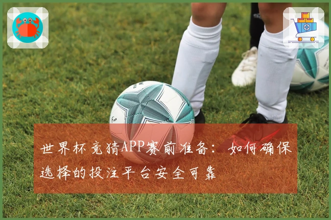 世界杯竞猜APP赛前准备：如何确保选择的投注平台安全可靠