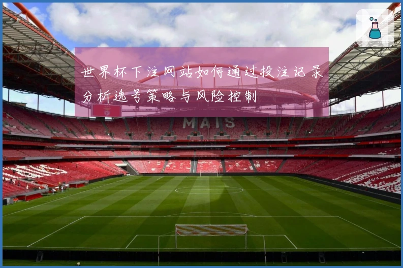 世界杯下注网站如何通过投注记录分析选号策略与风险控制
