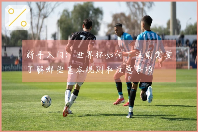 新手入门：世界杯如何下注前需要了解哪些基本规则和注意事项