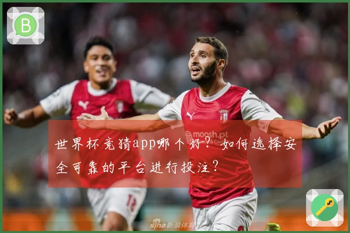 世界杯竞猜app哪个好？如何选择安全可靠的平台进行投注？