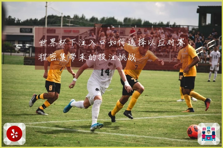 世界杯下注入口如何选择以应对赛程密集带来的投注挑战