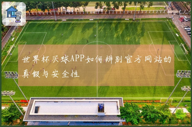 世界杯买球APP如何辨别官方网站的真假与安全性