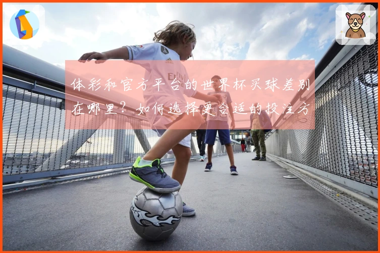 体彩和官方平台的世界杯买球差别在哪里？如何选择更合适的投注方式？