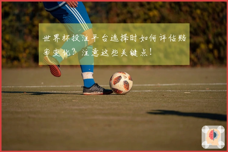 世界杯投注平台选择时如何评估赔率变化？注意这些关键点！