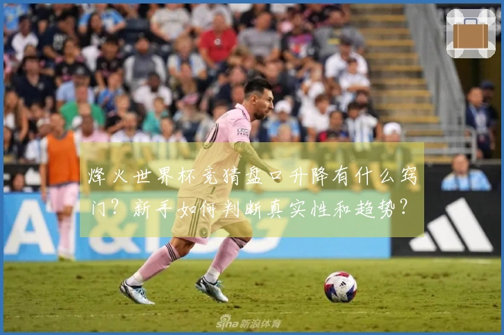 烽火世界杯竞猜盘口升降有什么窍门？新手如何判断真实性和趋势？